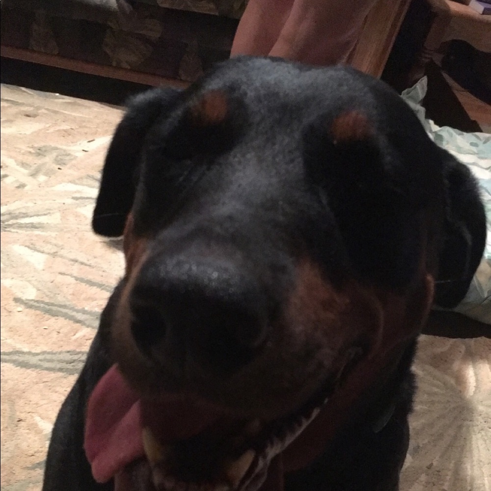 Meet your Posher, Angelique